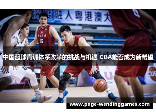 中国篮球青训体系改革的挑战与机遇 CBA能否成为新希望