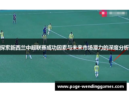 探索新西兰中超联赛成功因素与未来市场潜力的深度分析