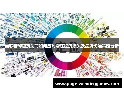 曼联若降级赞助商如何应对潜在经济损失及品牌影响策略分析