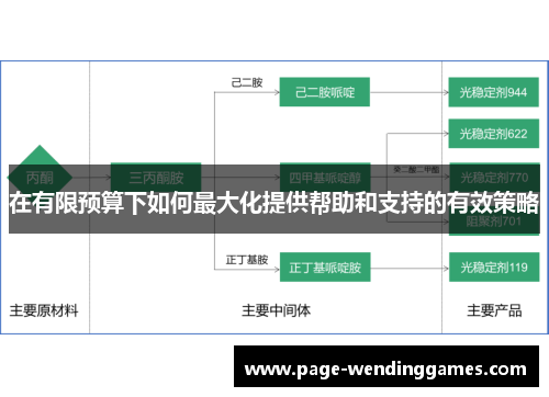 在有限预算下如何最大化提供帮助和支持的有效策略