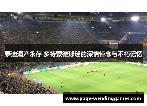泰迪遗产永存 多特蒙德球迷的深情悼念与不朽记忆