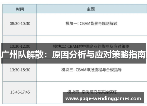广州队解散：原因分析与应对策略指南