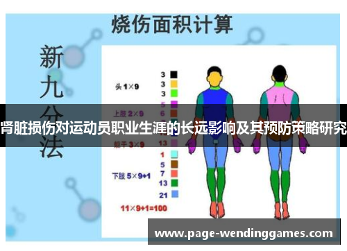肾脏损伤对运动员职业生涯的长远影响及其预防策略研究