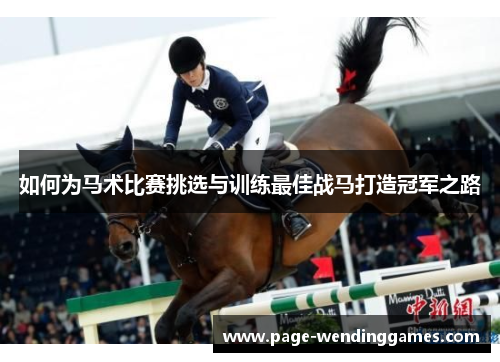 如何为马术比赛挑选与训练最佳战马打造冠军之路