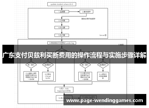广东支付贝兹利买断费用的操作流程与实施步骤详解