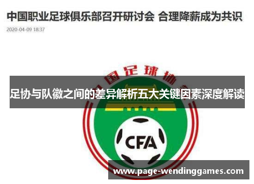 足协与队徽之间的差异解析五大关键因素深度解读
