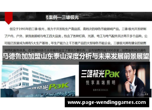 马德鲁加加盟山东泰山深度分析与未来发展前景展望