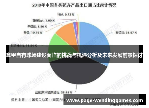 意甲自有球场建设面临的挑战与机遇分析及未来发展前景探讨 意甲自有球场建设面临的挑战与机遇分析及未来发展前景探讨