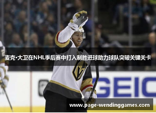 麦克·大卫在NHL季后赛中打入制胜进球助力球队突破关键关卡