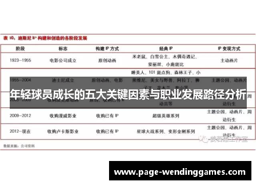 年轻球员成长的五大关键因素与职业发展路径分析
