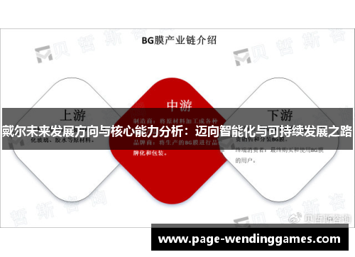 戴尔未来发展方向与核心能力分析：迈向智能化与可持续发展之路
