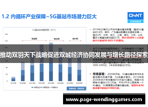 推动双羽天下战略促进双城经济协同发展与增长路径探索