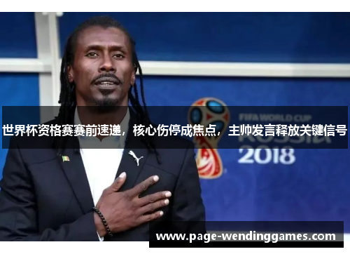 世界杯资格赛赛前速递，核心伤停成焦点，主帅发言释放关键信号