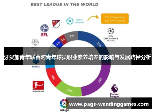 牙买加青年联赛对青年球员职业素养培养的影响与发展路径分析