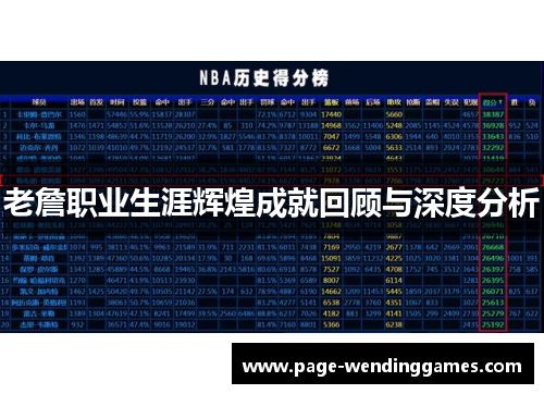 老詹职业生涯辉煌成就回顾与深度分析