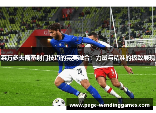莱万多夫斯基射门技巧的完美融合：力量与精准的极致展现