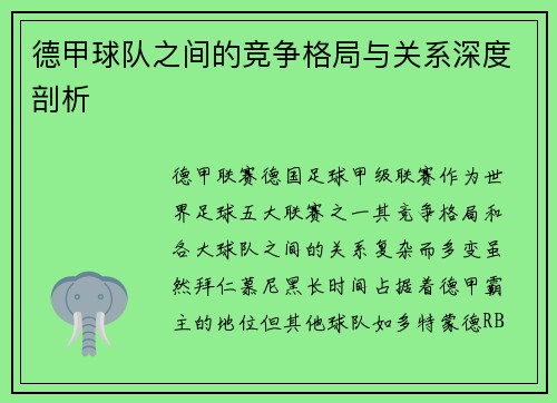 德甲球队之间的竞争格局与关系深度剖析